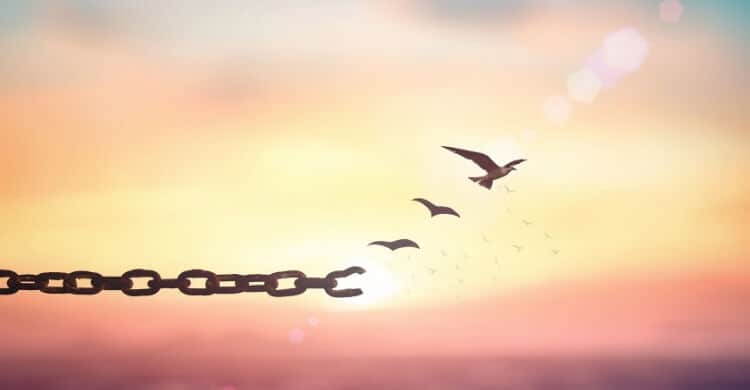 Picture of Chain turning into birds flying off